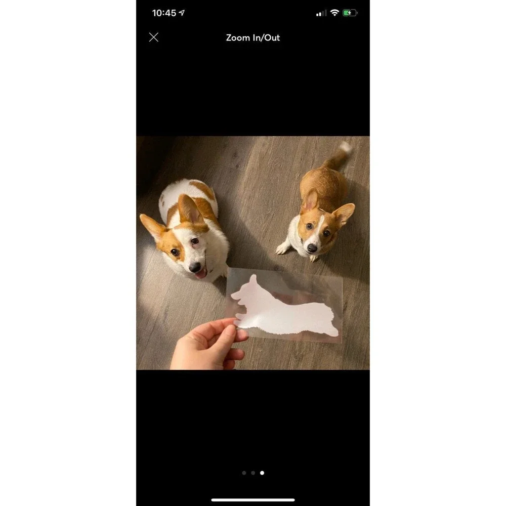 Corgi Sprinting Sticker Decal